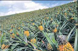 Selling farmers on agri-tourism