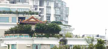 Shenzhen temple owner told to take it down