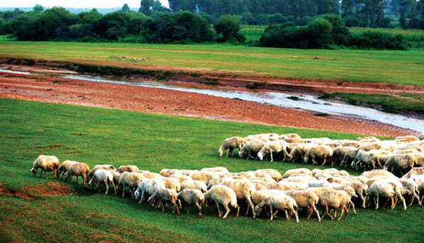 Shuozhou shines with more than coal