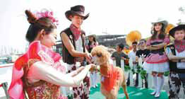 Expo Special: Beijing Garden Expo: A glorious Mid-Autumn Festival