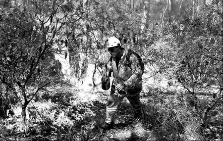 Australian crews fight to contain wildfires