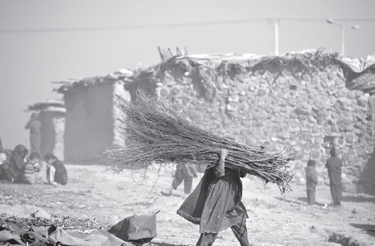 Security to remain Pakistan's top concern in the year to come