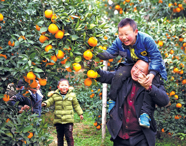 E-commerce key to poverty relief efforts