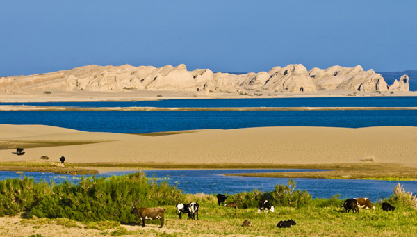 Poetry festival will honor Haizi