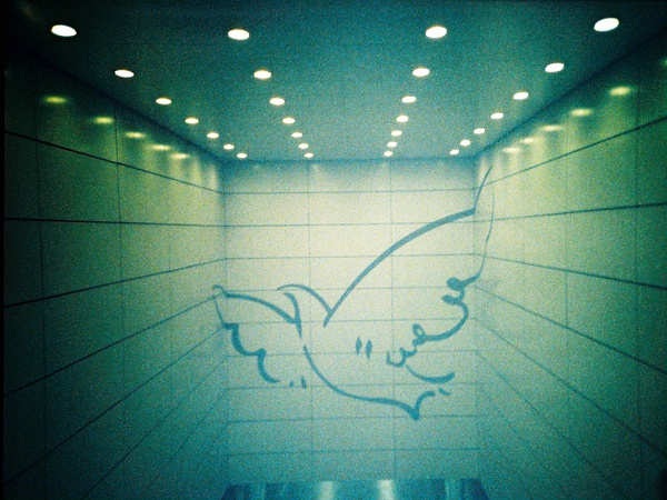 Fan Zhen's lomography