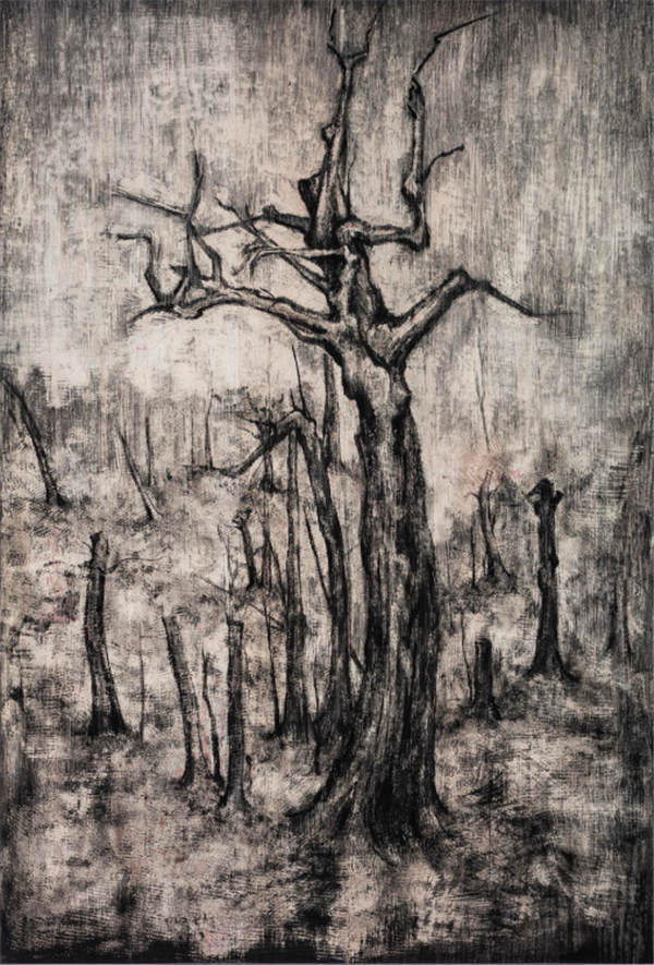 Finding elegance and mystery in the bleak