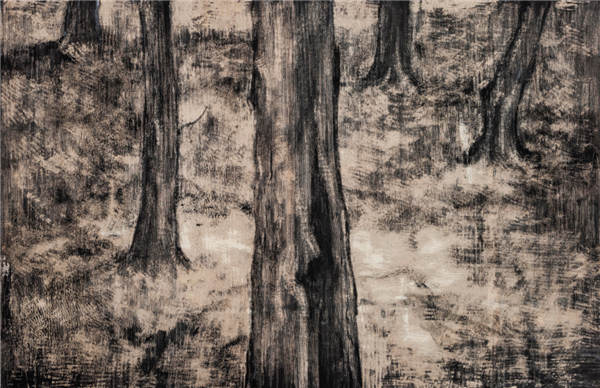 Finding elegance and mystery in the bleak