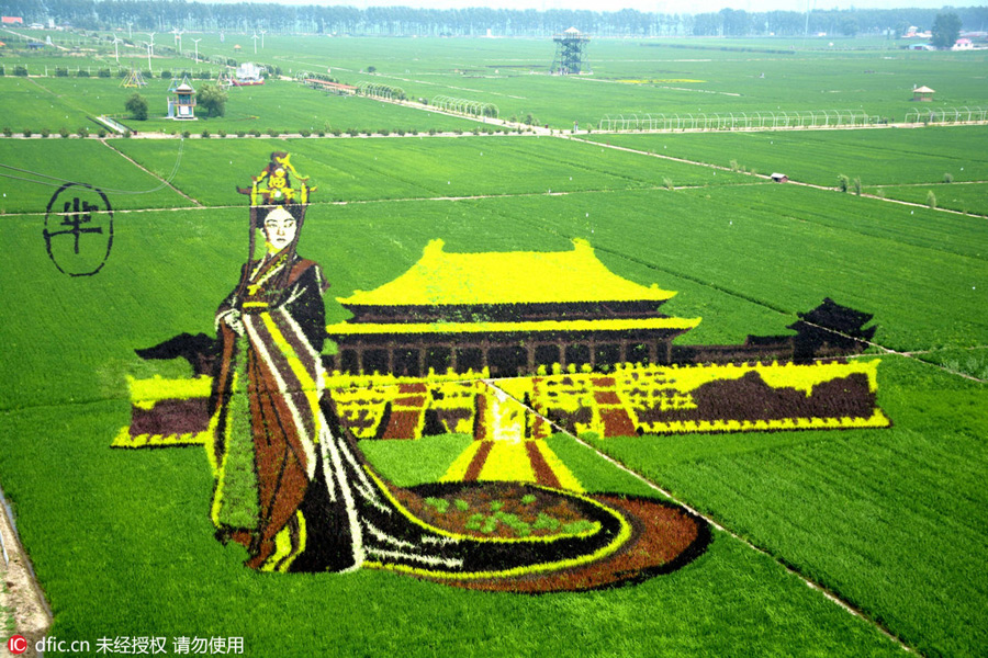3D Tanbo art pictures shine in Liaoning