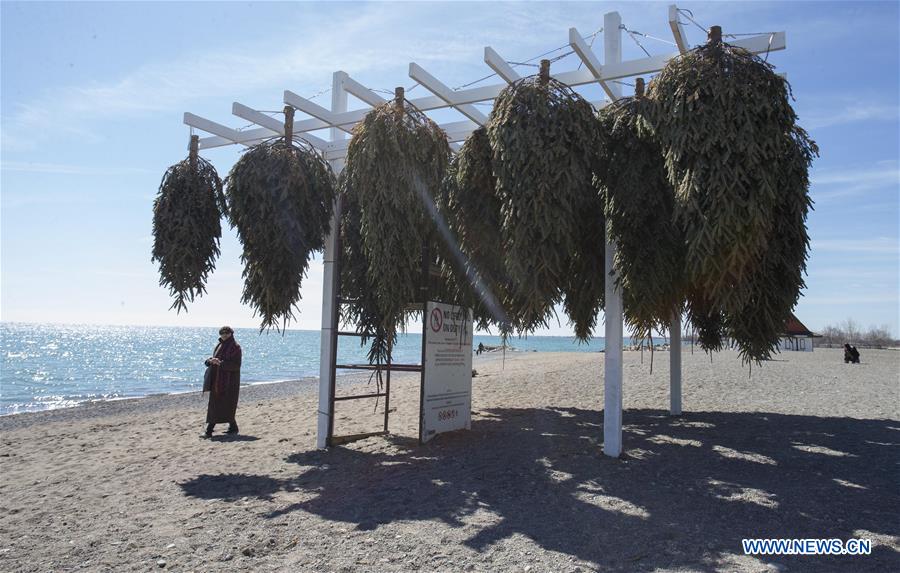 In pics: 2017 Winter Stations Design Exhibition