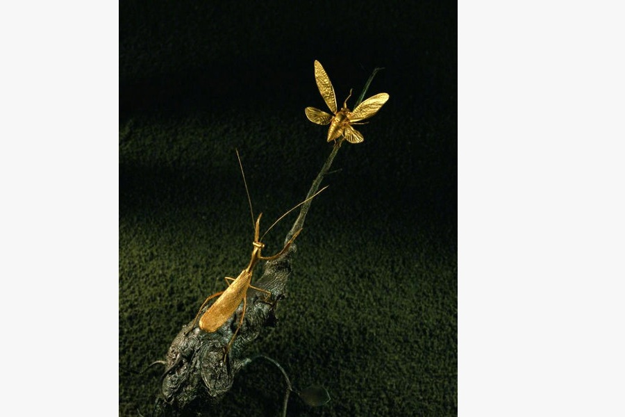 Gold and wood insects fly in Beijing's museum