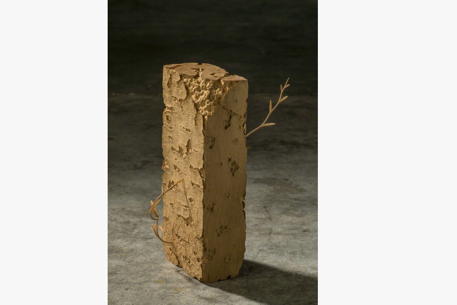 Gold and wood insects fly in Beijing's museum