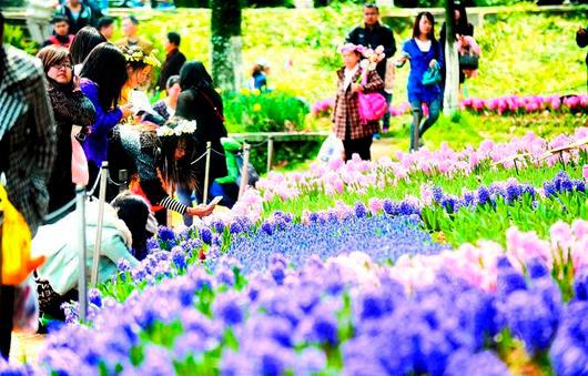 Wuhan welcomes cultural exchange with the Netherlands