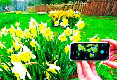 Wuhan welcomes cultural exchange with the Netherlands