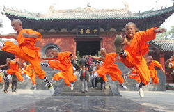Netizens kick around idea of taking job at kung fu temple