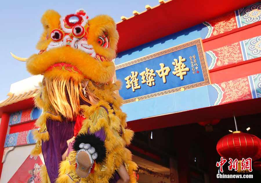 Chinese New Year brings cheer to Muscat Art Festival