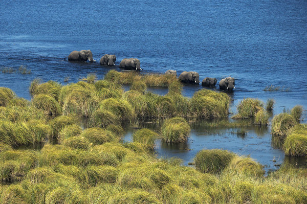 Brand takes visual route to promote green agenda