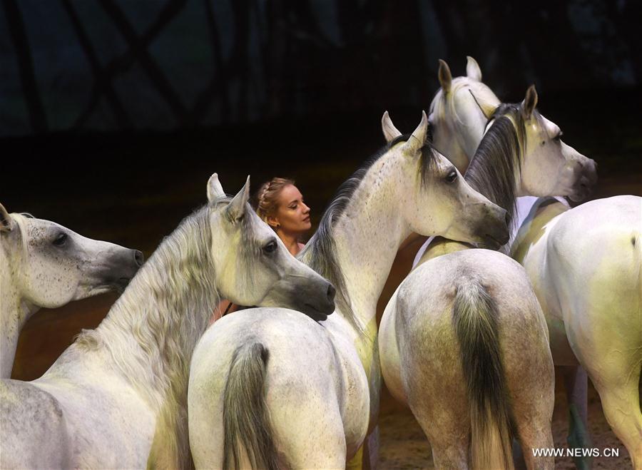 Cavalia show held in Beijing