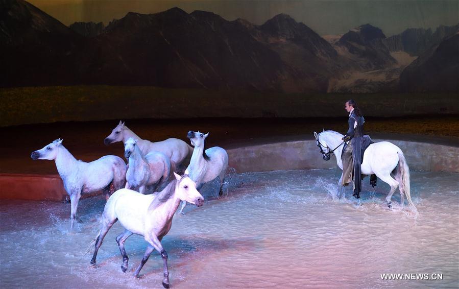 Cavalia show held in Beijing