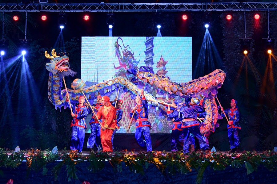 Chinese shows captivate audience at Afro-Chinese Arts Festival