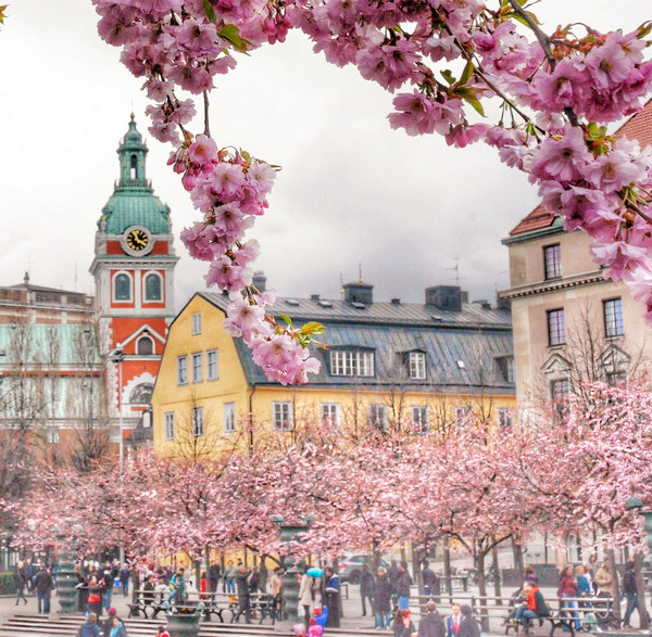 Chinese photo and oil exhibitions to warm Stockholm's autumn