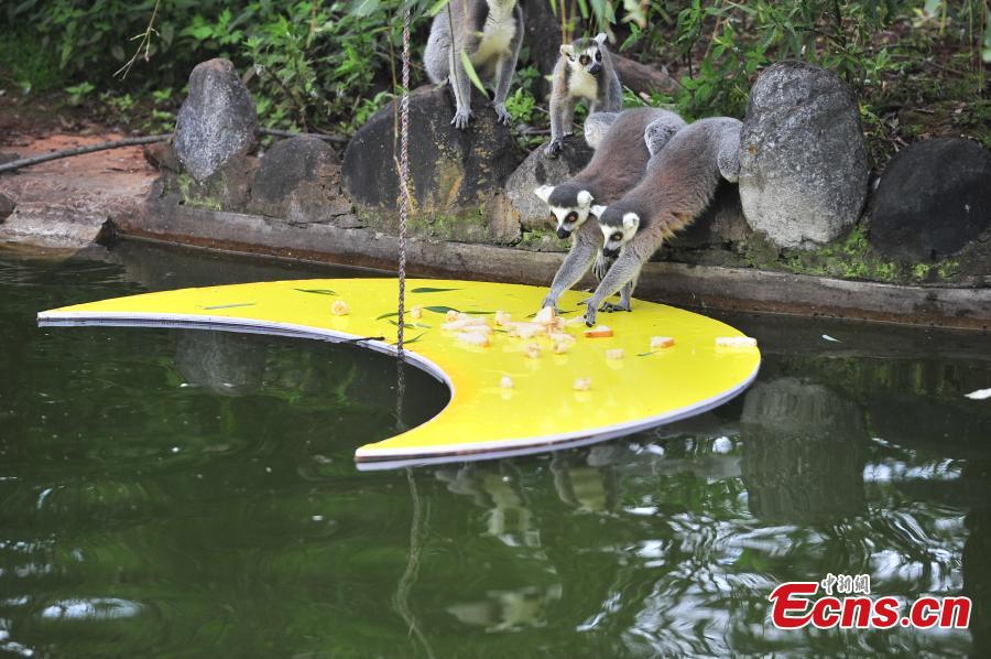 Animals also in Mid-Autumn Festival celebrations
