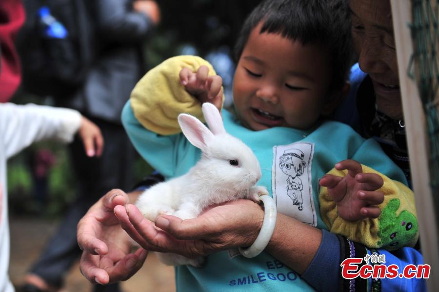 Animals also in Mid-Autumn Festival celebrations