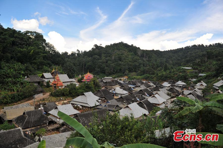Jingmai Mountain a major tea production center in China