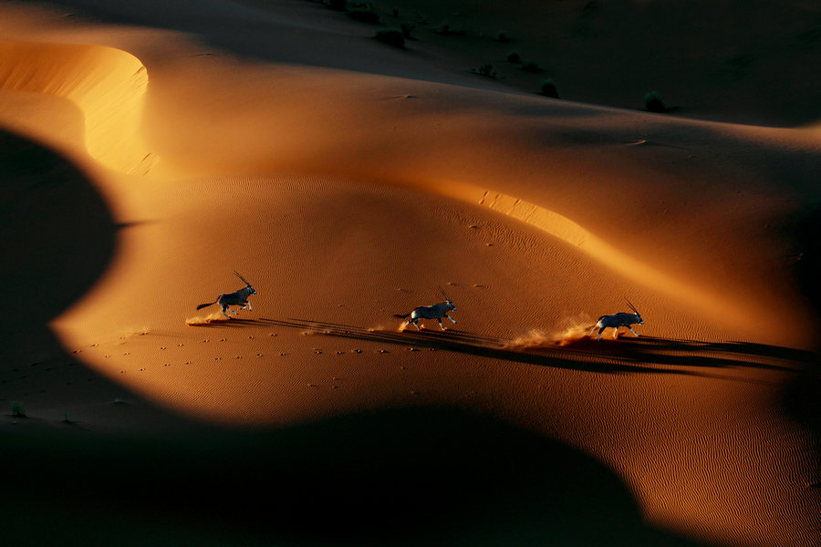 Man of many skills builds environmental legacy