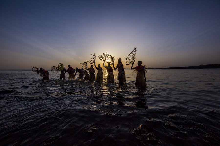 Man of many skills builds environmental legacy