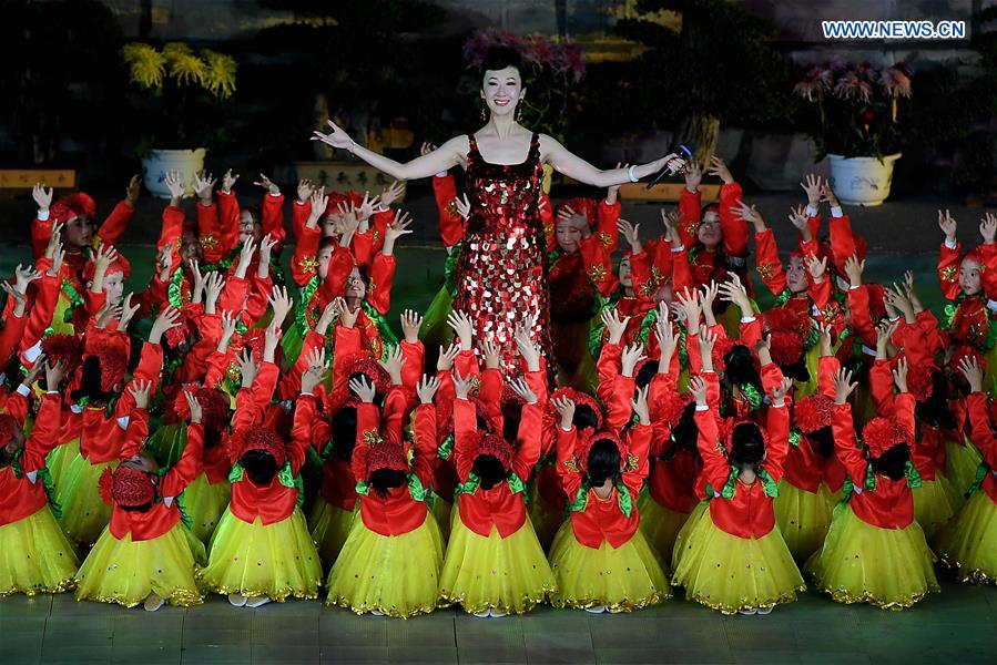34th Kaifeng Chrysanthemum Festival opens in C China