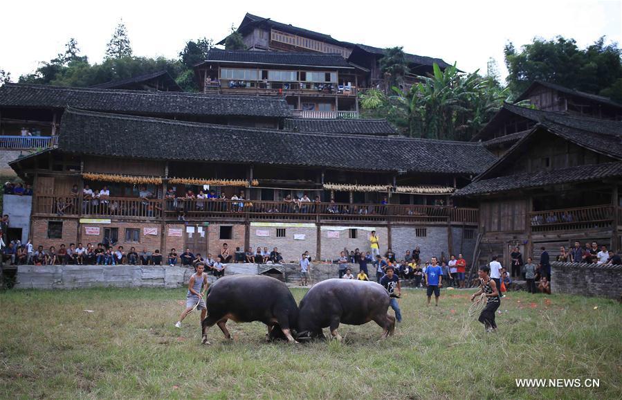 Villagers of Miao ethnic group celebrate 'Chixin' Festival