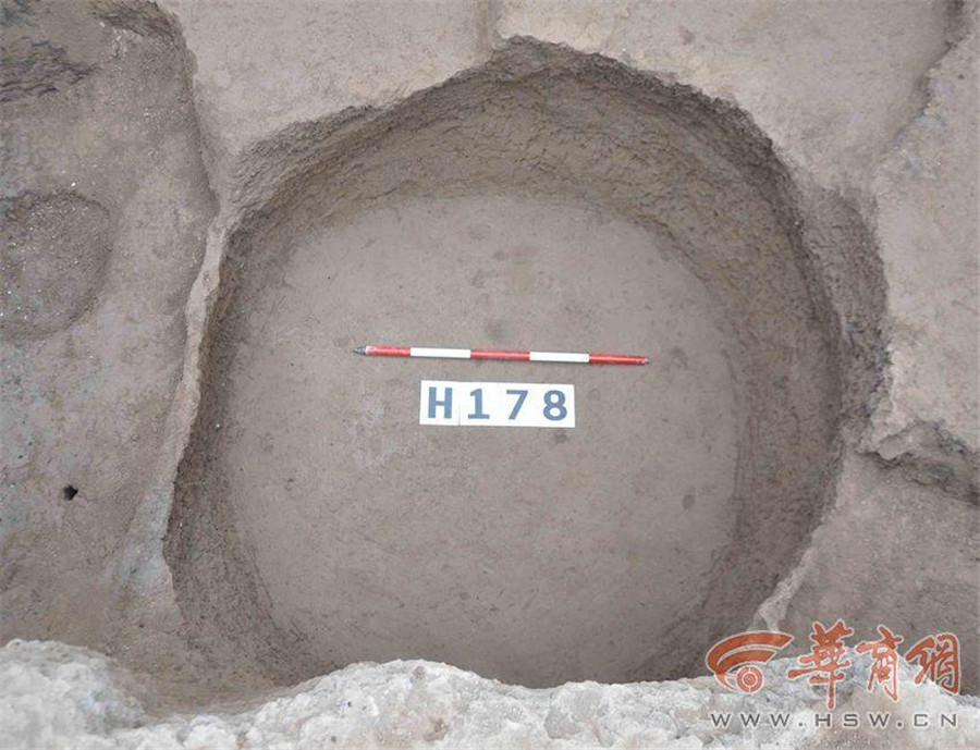 Crocodile bone plates found in Haojing ruins