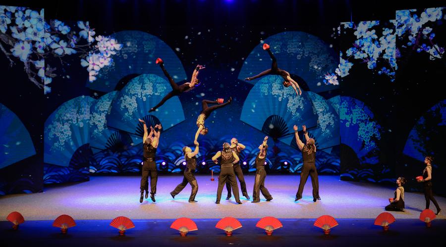 Chinese acrobats perform at China-South Africa gala