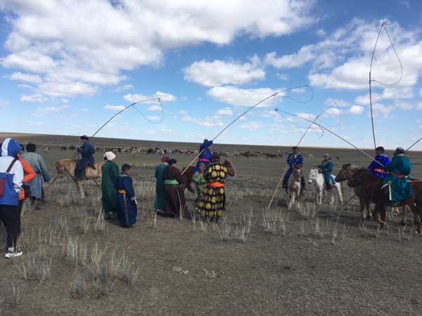 Views of the grassland