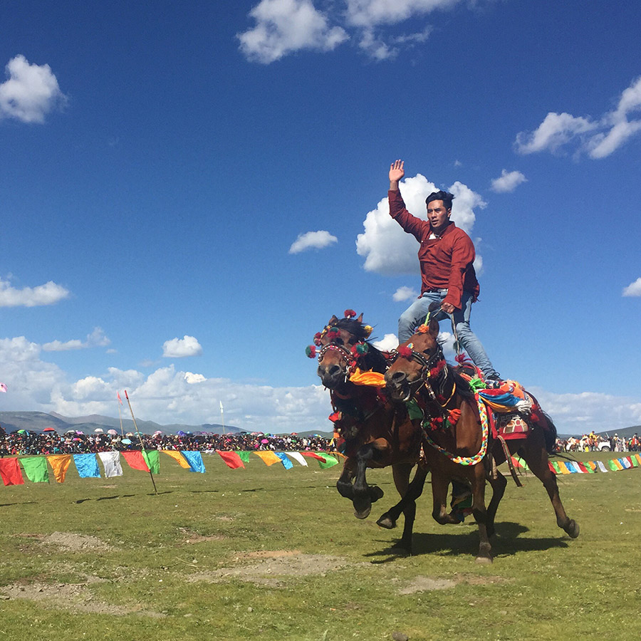Horse riders impress audience at equestrian festival