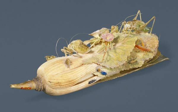 Chinese cabbage-themed relics from Palace Museum's collection