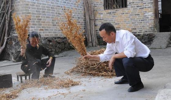 大學生“村官”邢鐳：山村群眾的貼心人