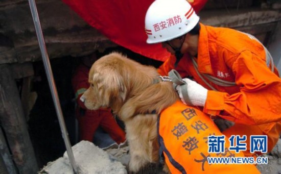 甘南州委書記：舟曲災區(qū)搶險救災面臨六項艱巨任務