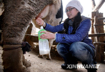 “80后”人大代表的新思維