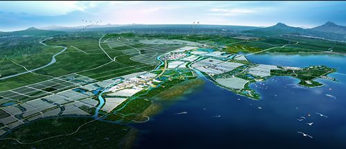 青島高新區努力打造城市“創新之芯”