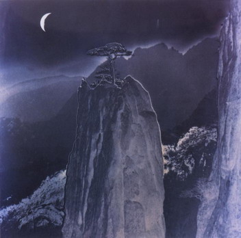 中秋十大賞月地