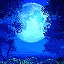 月圓中秋話民俗