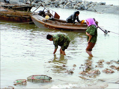 中秋賞月吃螃蟹 個(gè)性自駕邊吃邊玩