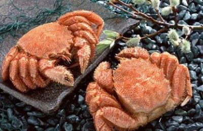 西風響蟹腳癢 中秋團圓家宴必吃的15道應景菜