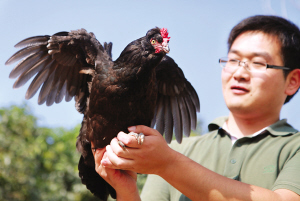 大學(xué)生村官郭帥阮江南創(chuàng)業(yè)中收獲愛(ài)情（組圖）