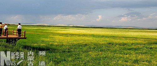 內蒙古東部草原進入最美季節
