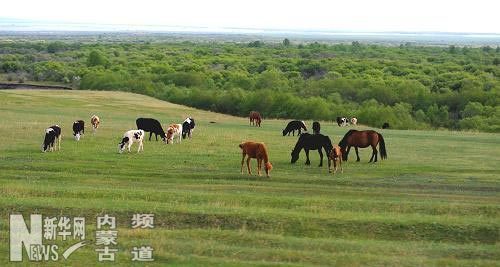 草原秀色入畫來(lái)