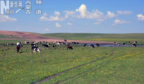 呼倫貝爾大草原景色如畫