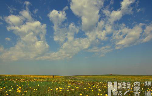 呼倫貝爾大草原景色如畫