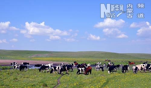 呼倫貝爾大草原景色如畫